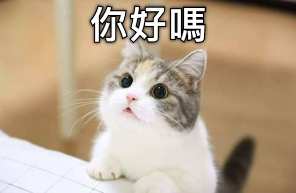 你好嗎