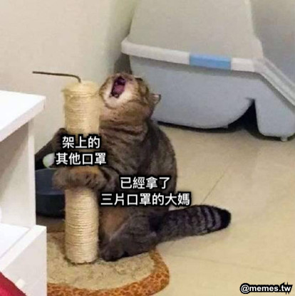 已經拿了 三片口罩的大媽 架上的 其他口罩