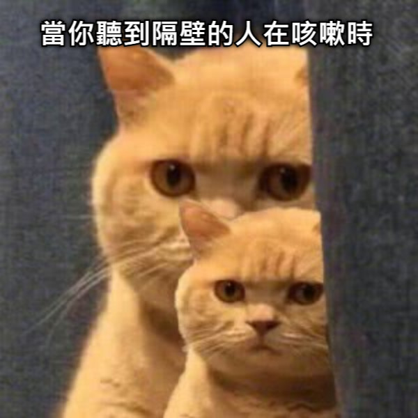當你聽到隔壁的人在咳嗽時