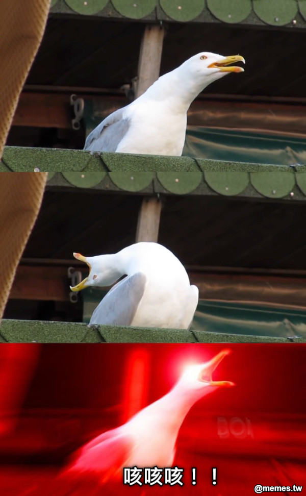 咳咳咳！！