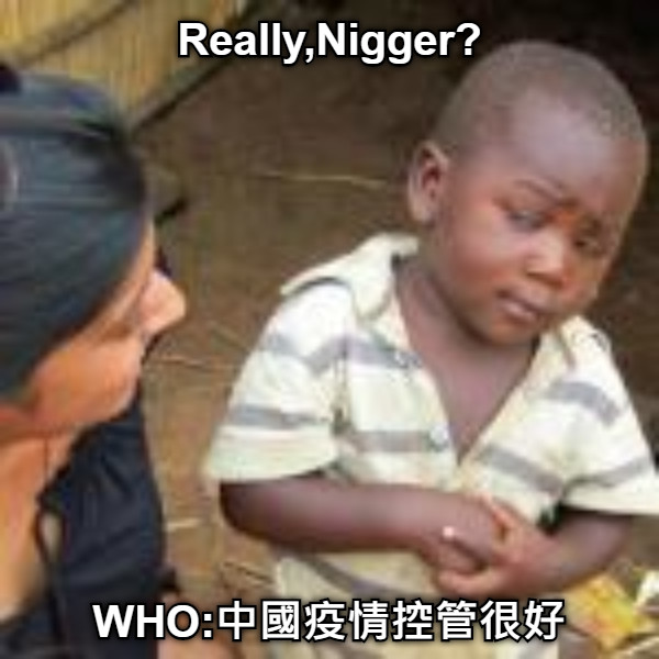Really,Nigger? WHO:中國疫情控管很好