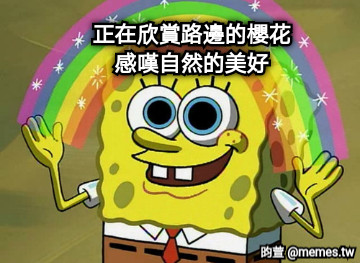 正在欣賞路邊的櫻花 感嘆自然的美好