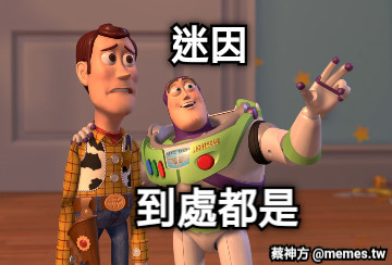 到處都是 迷因
