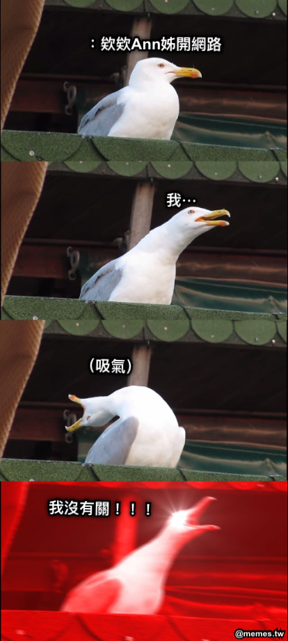 ：欸欸Ann姊開網路 我⋯ （吸氣） 我沒有關！！！