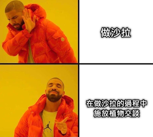 做沙拉 在做沙拉的過程中 施放植物交談