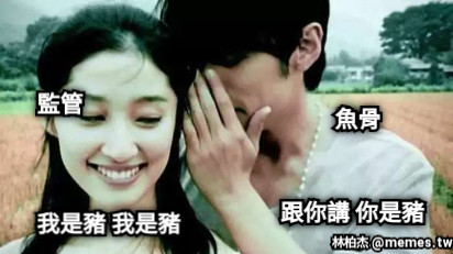 監管 魚骨 跟你講 你是豬 我是豬 我是豬