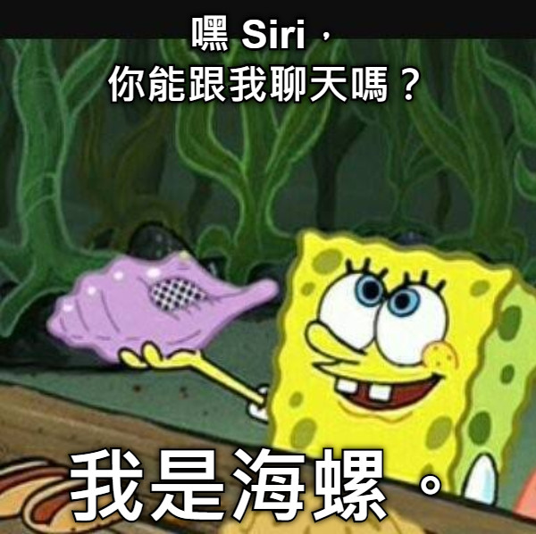 嘿 Siri， 你能跟我聊天嗎？ 我是海螺。