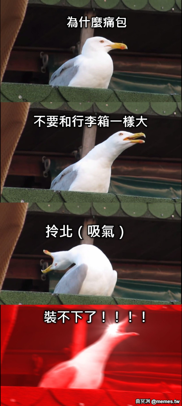 為什麼痛包 不要和行李箱一樣大 拎北（吸氣） 裝不下了！！！！