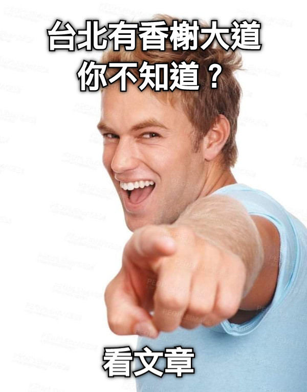 看文章 台北有香榭大道你不知道？