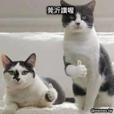 莞沂讚喔