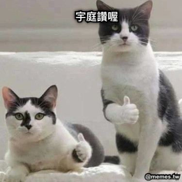 宇庭讚喔