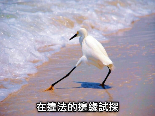 在違法的邊緣試探