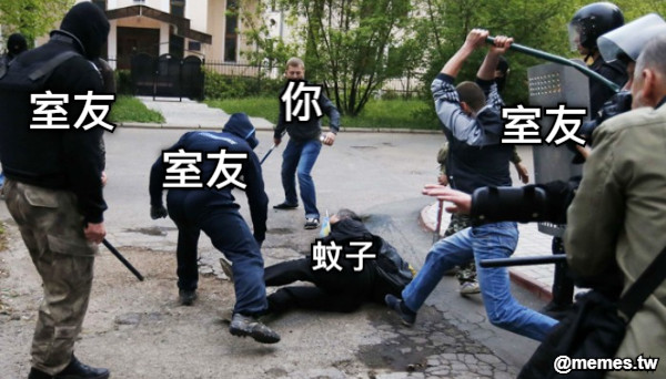 蚊子 室友 室友 室友 你