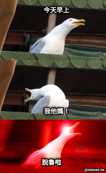 宣示不交網婆的小夜 今天早上 我他媽！ 脫魯啦