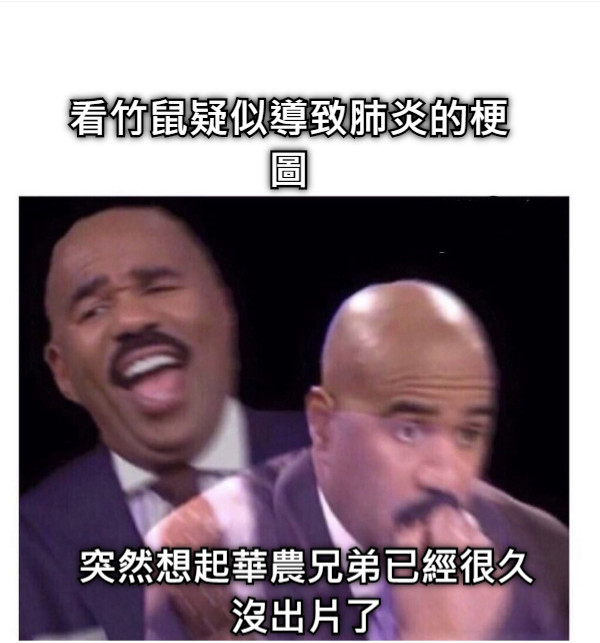 看竹鼠疑似導致肺炎的梗圖 突然想起華農兄弟已經很久沒出片了
