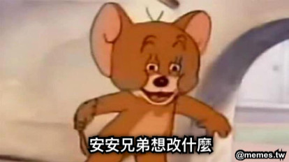 安安兄弟想改什麼