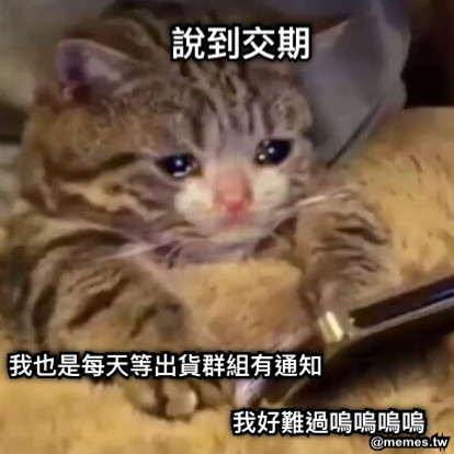 說到交期 我也是每天等出貨群組有通知 我好難過嗚嗚嗚嗚