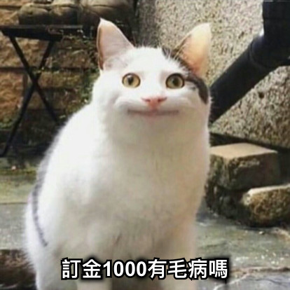 訂金1000有毛病嗎