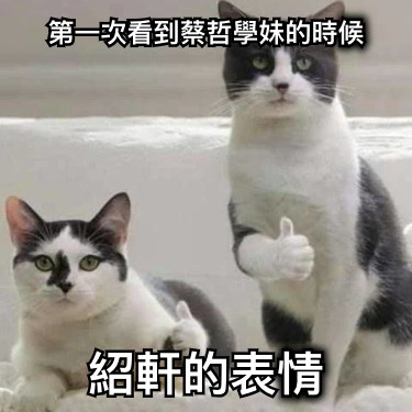 第一次看到蔡哲學妹的時候 紹軒的表情