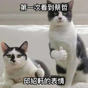 第一次看到蔡哲 邱紹軒的表情