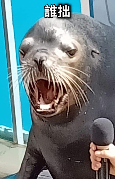 誰拙