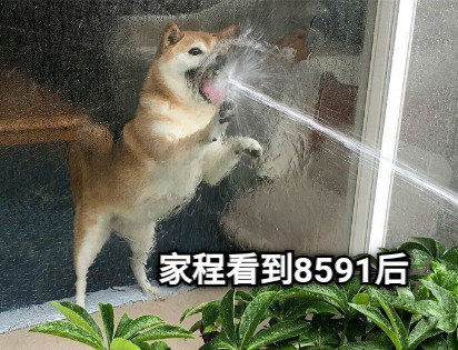家程看到8591后