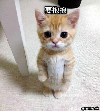 要抱抱