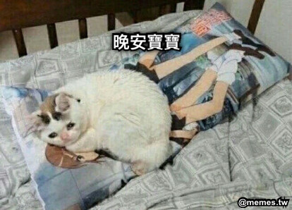 晚安寶寶
