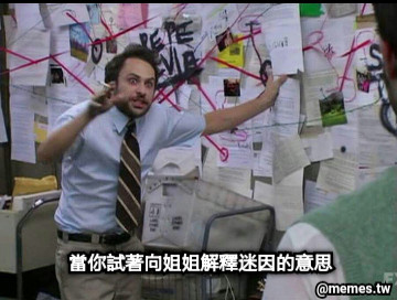當你試著向姐姐解釋迷因的意思