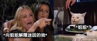 *向姐姐解釋迷因的我* *姐姐*