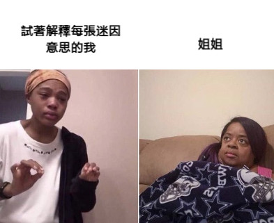 試著解釋每張迷因 意思的我 姐姐