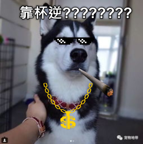 靠杯逆????????