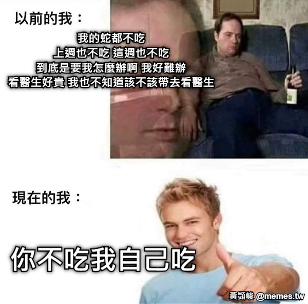 我的蛇都不吃 上週也不吃 這週也不吃 到底是要我怎麼辦啊 我好難辦 看醫生好貴 我也不知道該不該帶去看醫生 你不吃我自己吃