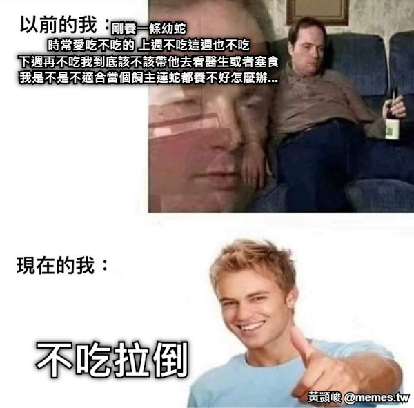 剛養一條幼蛇 時常愛吃不吃的 上週不吃這週也不吃 下週再不吃我到底該不該帶他去看醫生或者塞食 我是不是不適合當個飼主連蛇都養不好怎麼辦... 不吃拉倒