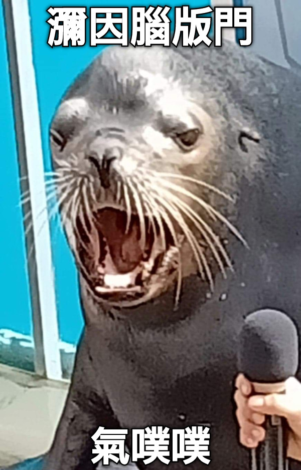 瀰因腦版門 氣噗噗