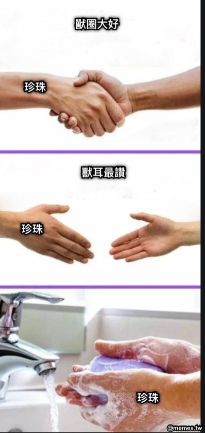 獸圈大好 獸耳最讚 珍珠 珍珠 珍珠