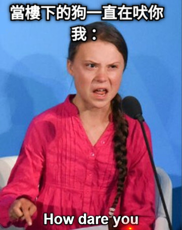 當樓下的狗一直在吠你 我：