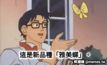 這是新品種「雅美蝶」。