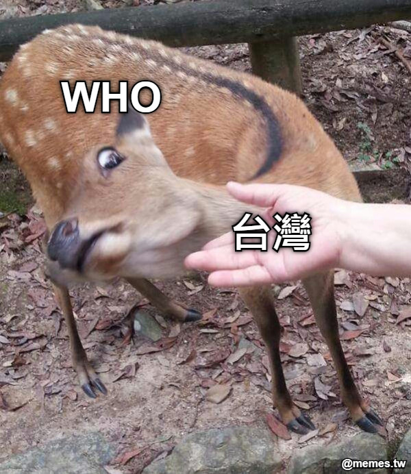 WHO 台灣