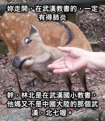 妳走開，在武漢教書的，一定有得肺炎 幹，林北是在武漢國小教書，他媽又不是中國大陸的那個武漢，北七喔。