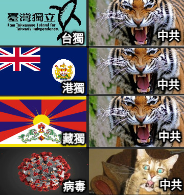 台獨 港獨 藏獨 病毒 中共 中共 中共 中共