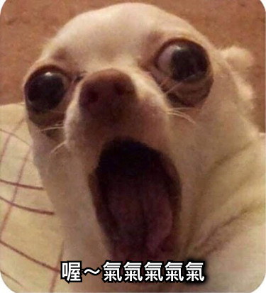 喔～氣氣氣氣氣