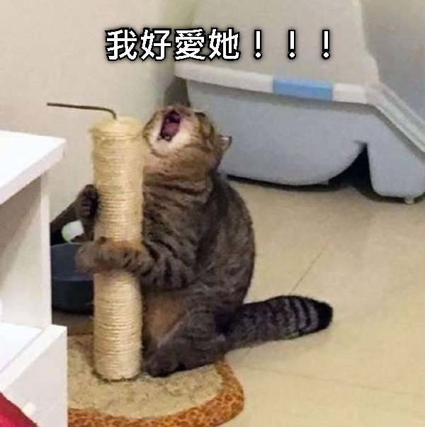 我好愛她！！！