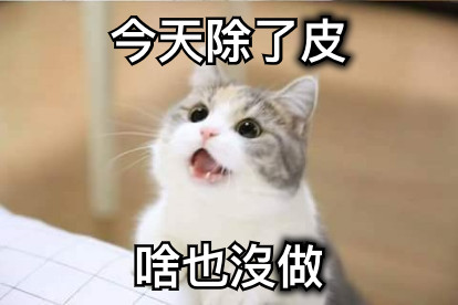 今天除了皮 啥也沒做