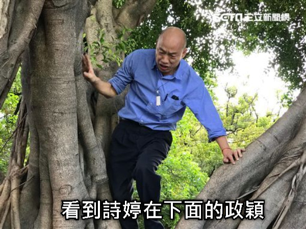 看到詩婷在下面的政穎