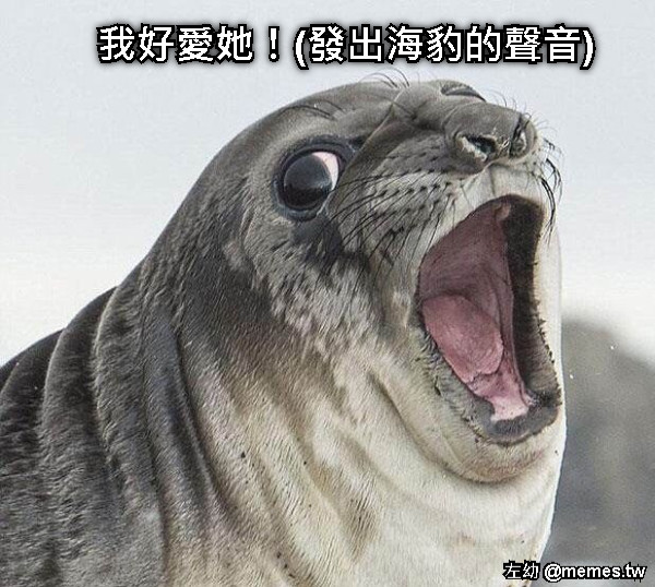 我好愛她！(發出海豹的聲音)