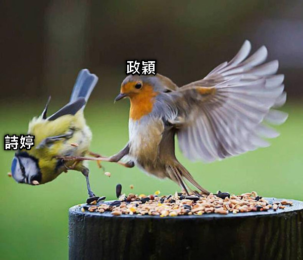 政穎 詩婷