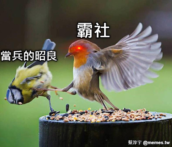 霸社  當兵的昭良