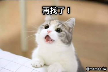 再找了！