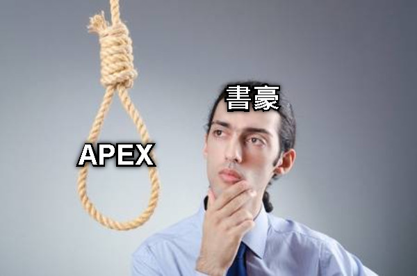 書豪 APEX